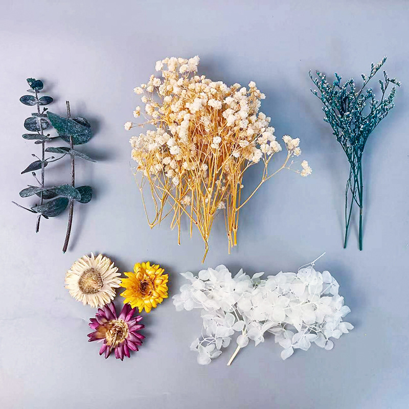 Craft Embellishment - 1 paket Çok Çeşitli Kurutulmuş Çiçekler