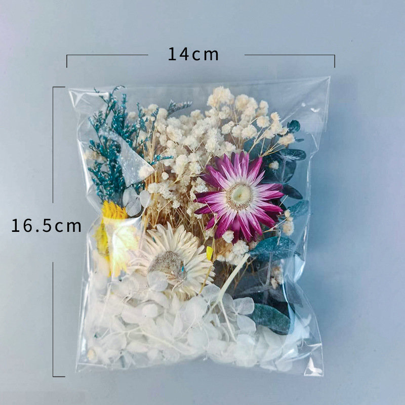 1 paket Çok Çeşitli Kurutulmuş - Craft Embellishment incelemesi ve fiyatı