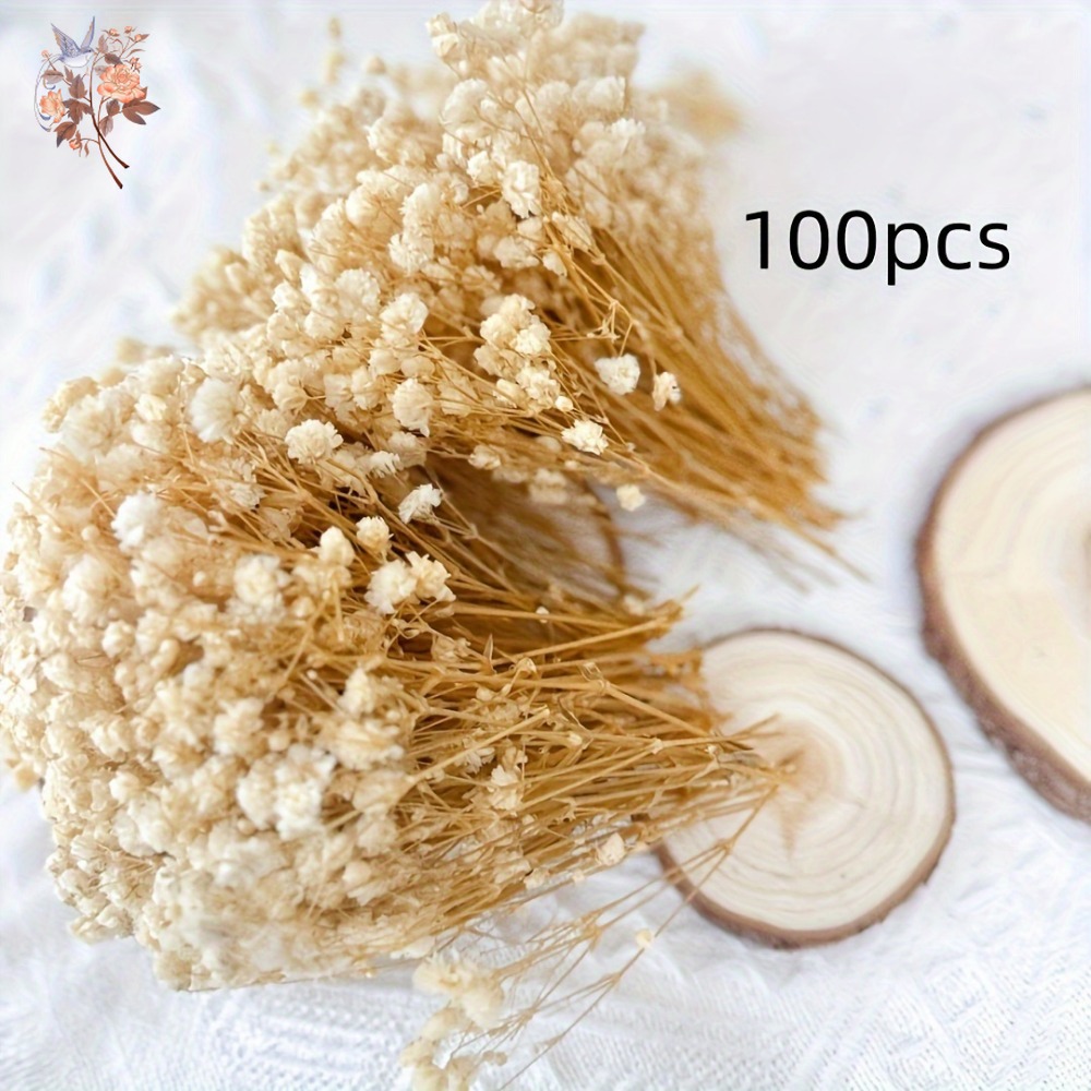 100 adet Mini Kurutulmuş Cipso - Craft Embellishment incelemesi ve fiyatı