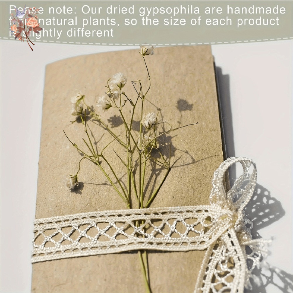 100 adet Mini Kurutulmuş Cipso - Craft Embellishment incelemesi ve fiyatı